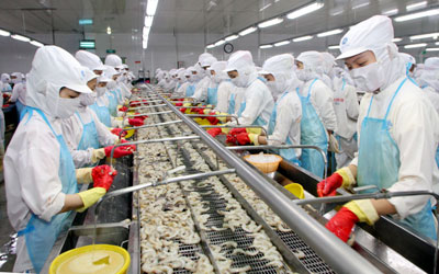 Top shrimp exporter to delist